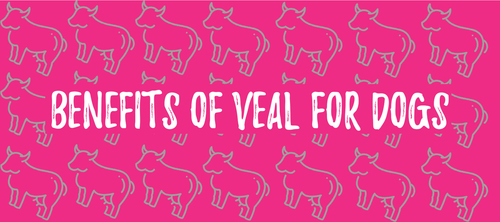 Is veal good for dogs? Great for Dogs with allergies Laila and Me