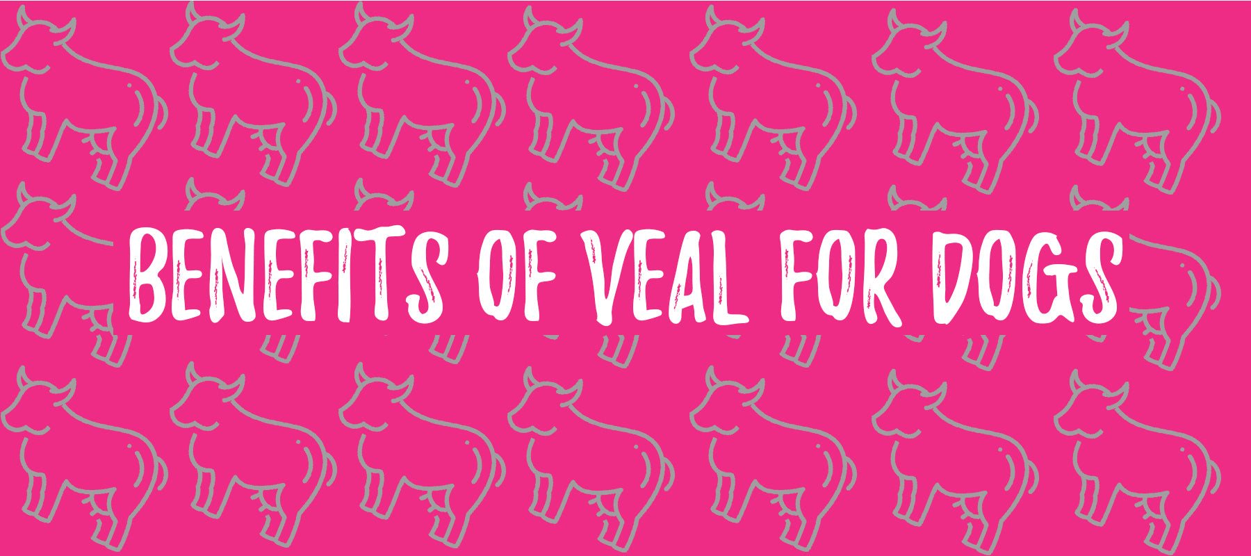 Benefits of Veal for Dogs - Laila and Me
