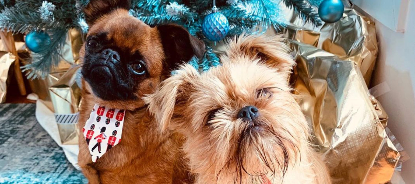 Laila and Me Review By @bookofbertie-Laila and Me