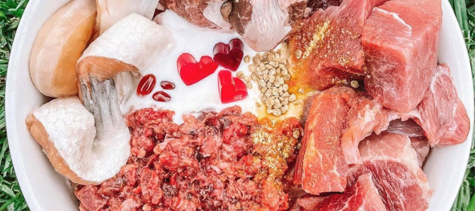 how to switch to raw feeding - laila and me