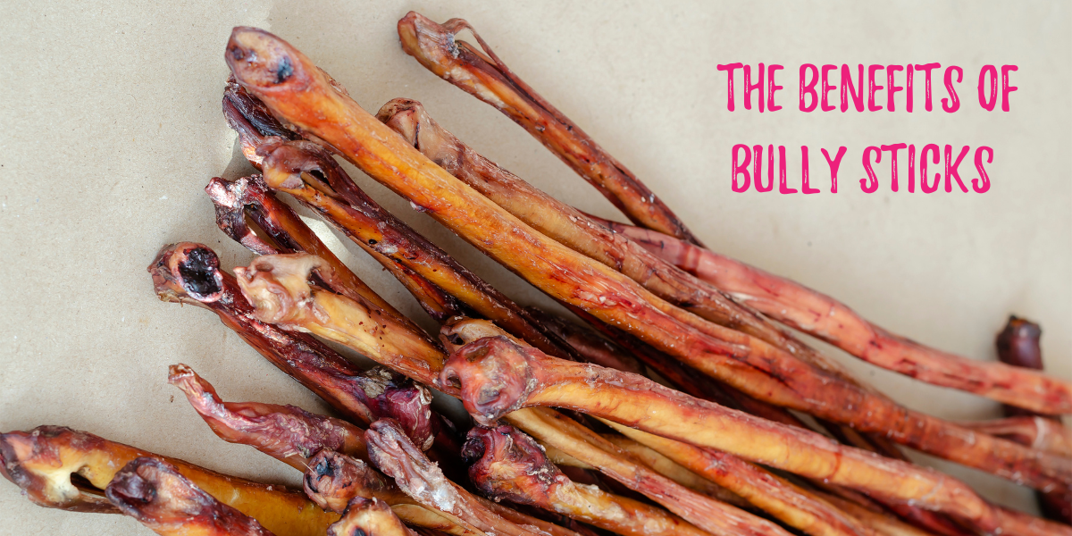 What are Bully Sticks? Are they safe for Puppies and Pets? Laila and Me