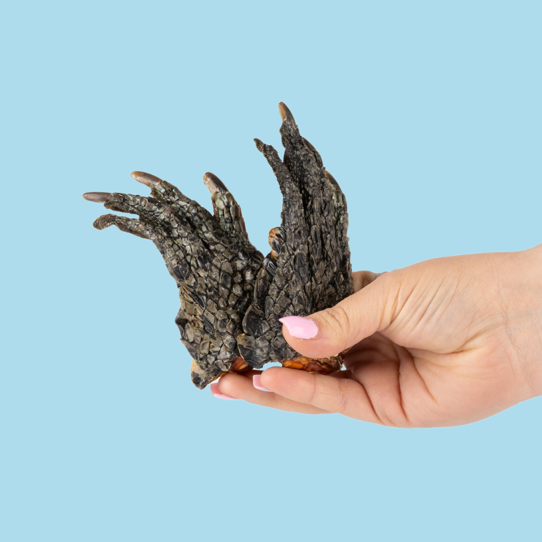 CROCODILE PET TREATS