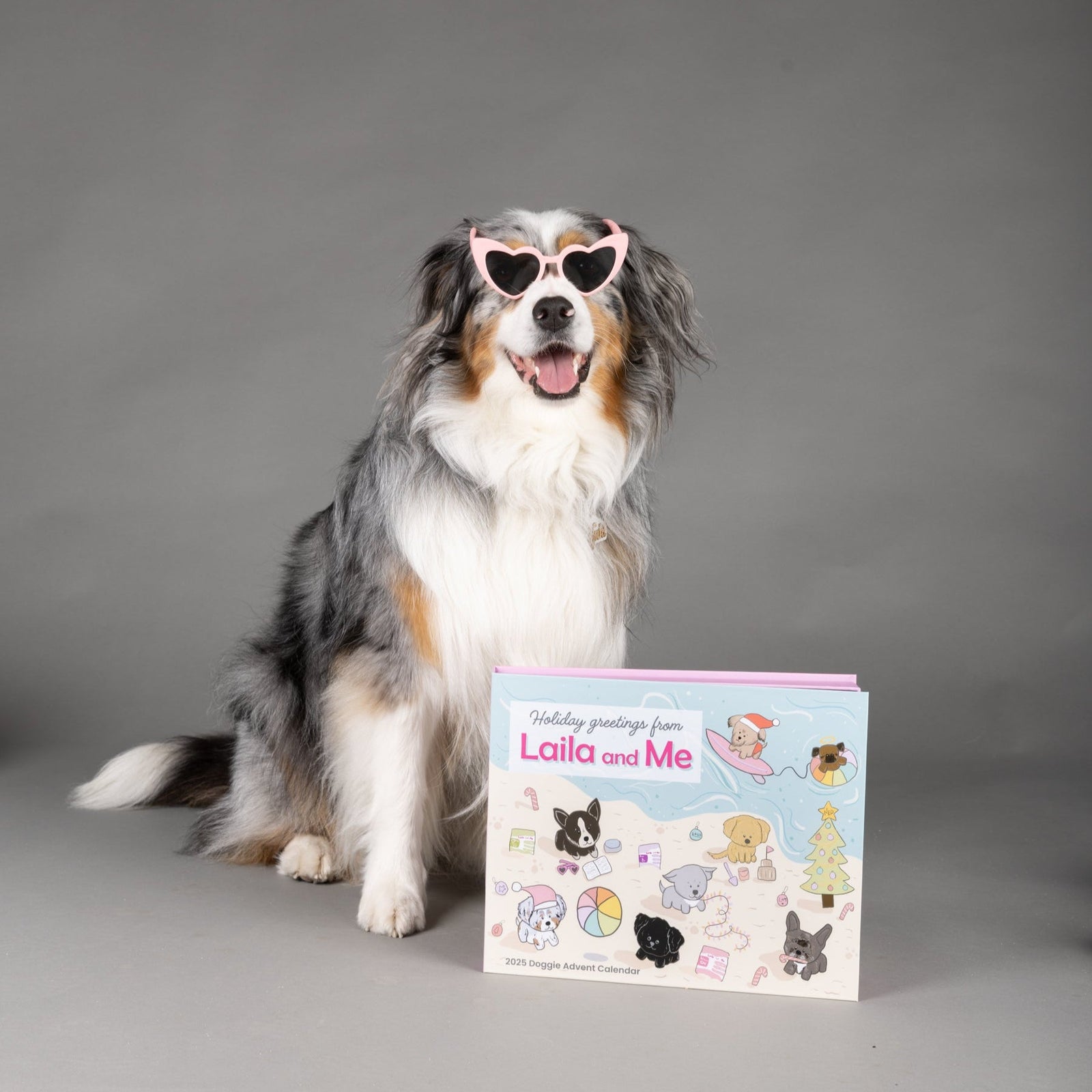 CHRISTMAS PET TREATS