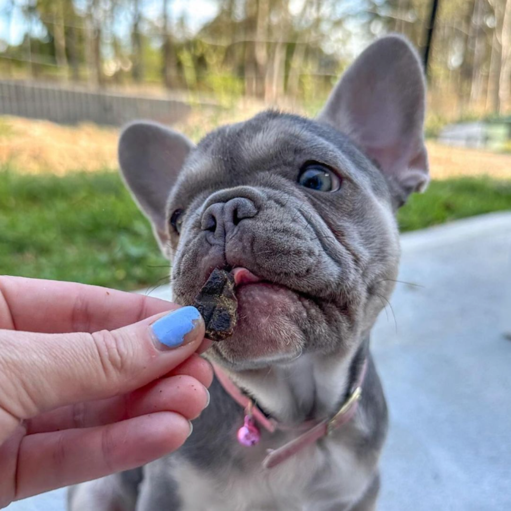 PUPPY PET TREATS (UP TO 12 MONTHS OLD)