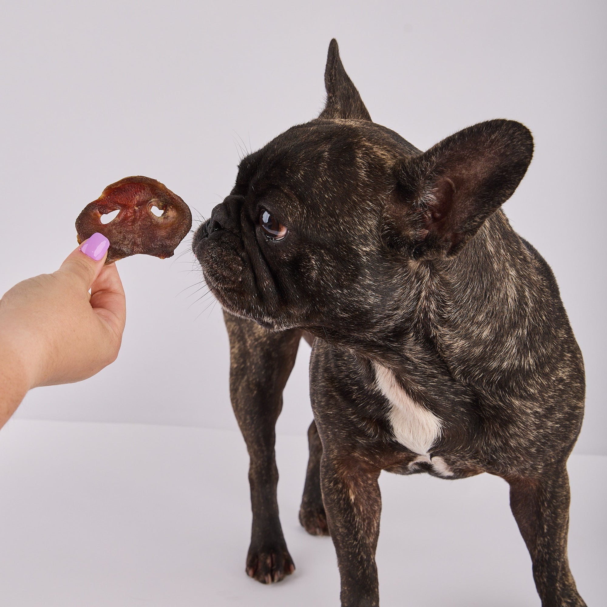 PORK PET TREATS