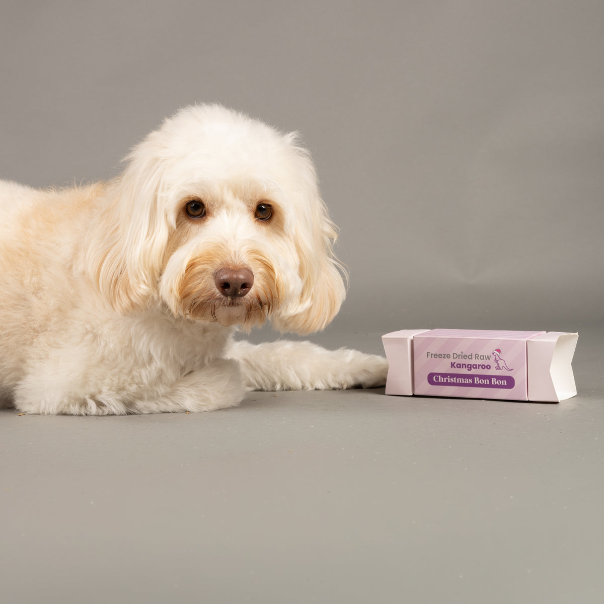 Freeze Dried Raw Kangaroo Bon Bon