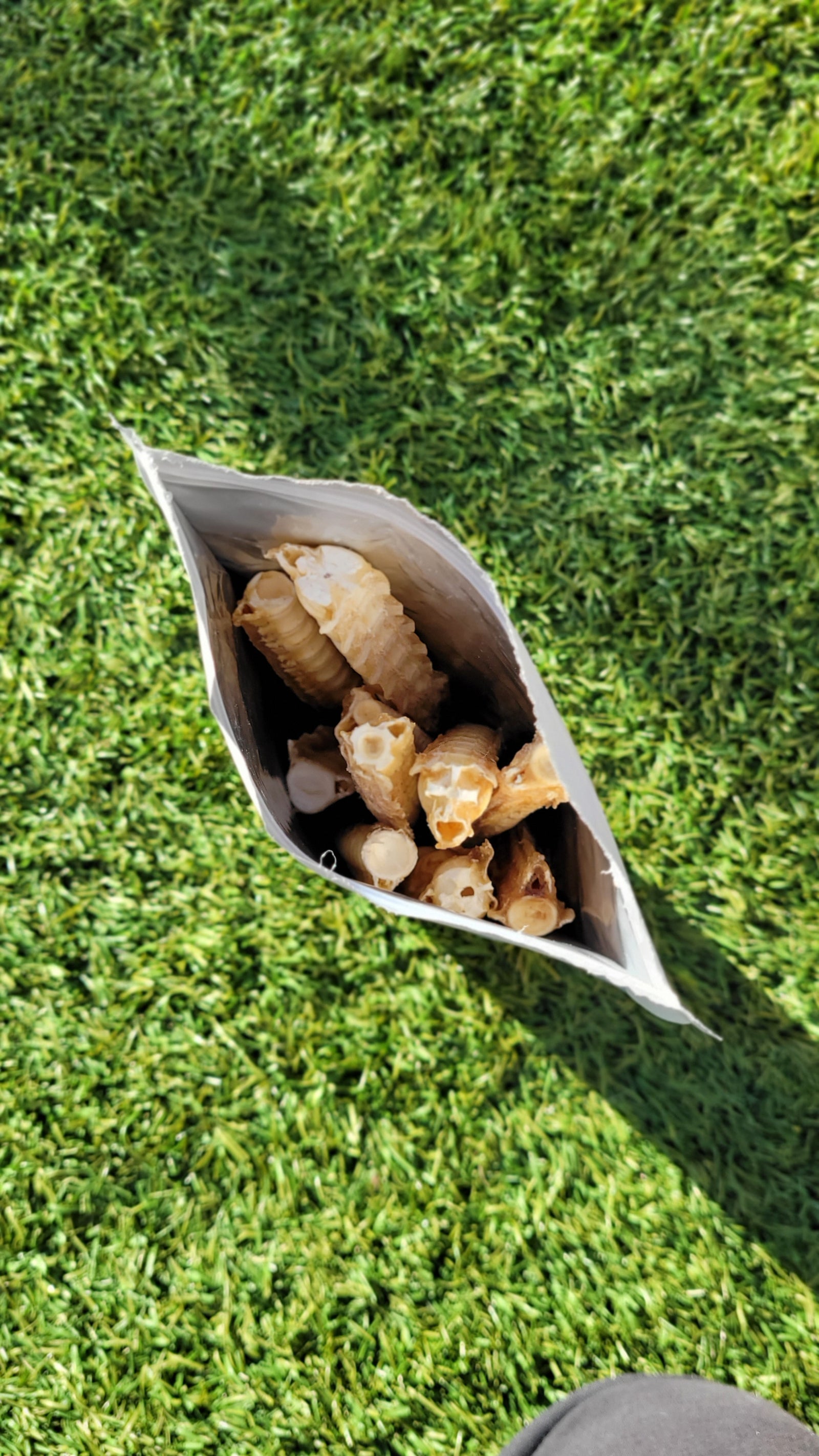 Australian Gummy Shark Cartilage