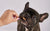 Pig Snouts 120g