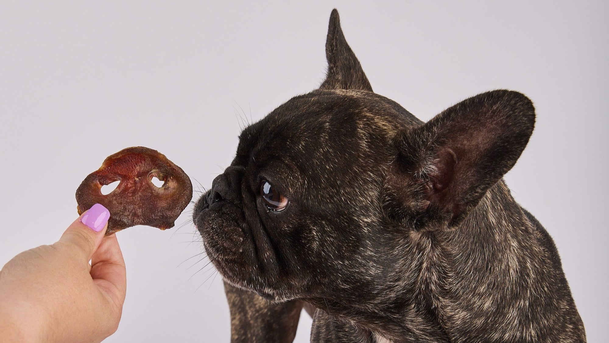 Pig Snouts 120g
