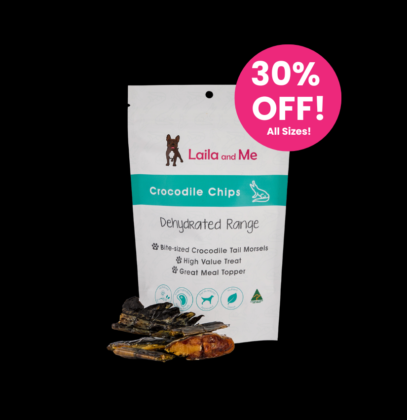 Crocodile Chips