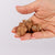 Freeze Dried Raw Chicken Hearts