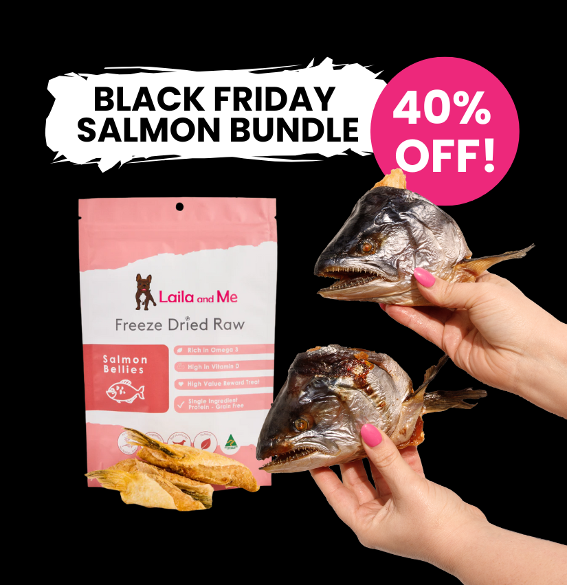 Black Friday Salmon Bundle