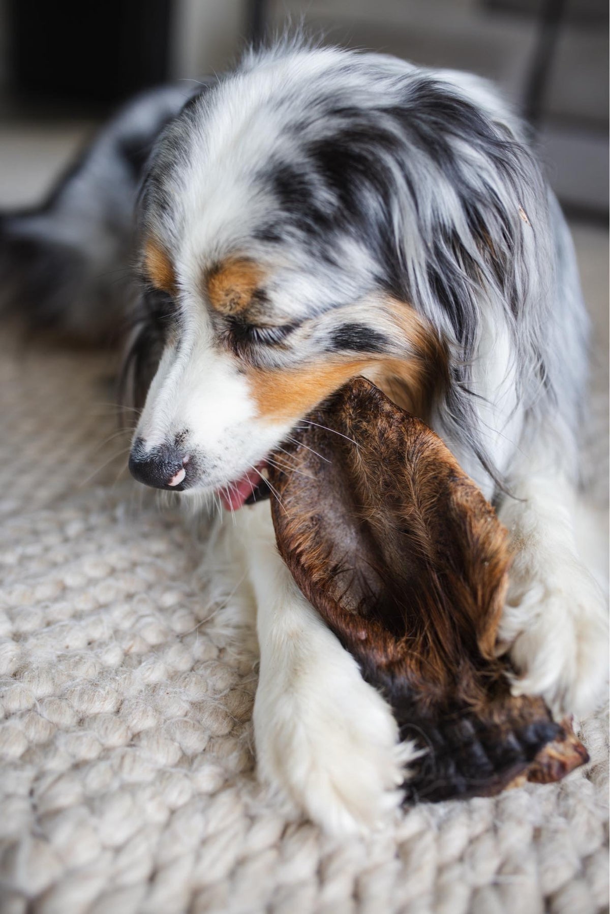 Cow Ears with Fur (2 Pack)