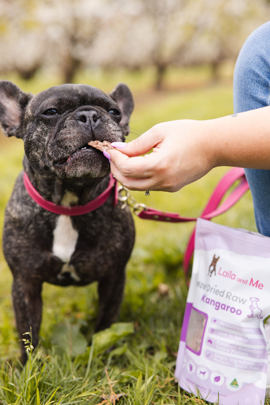 Freeze Dried Raw Kangaroo Treats