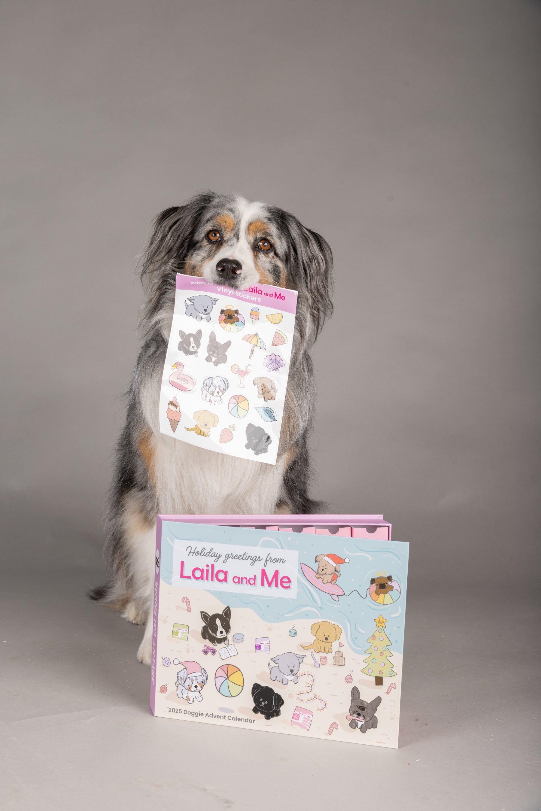 PRESALE | 2025 Dog Advent Calendar