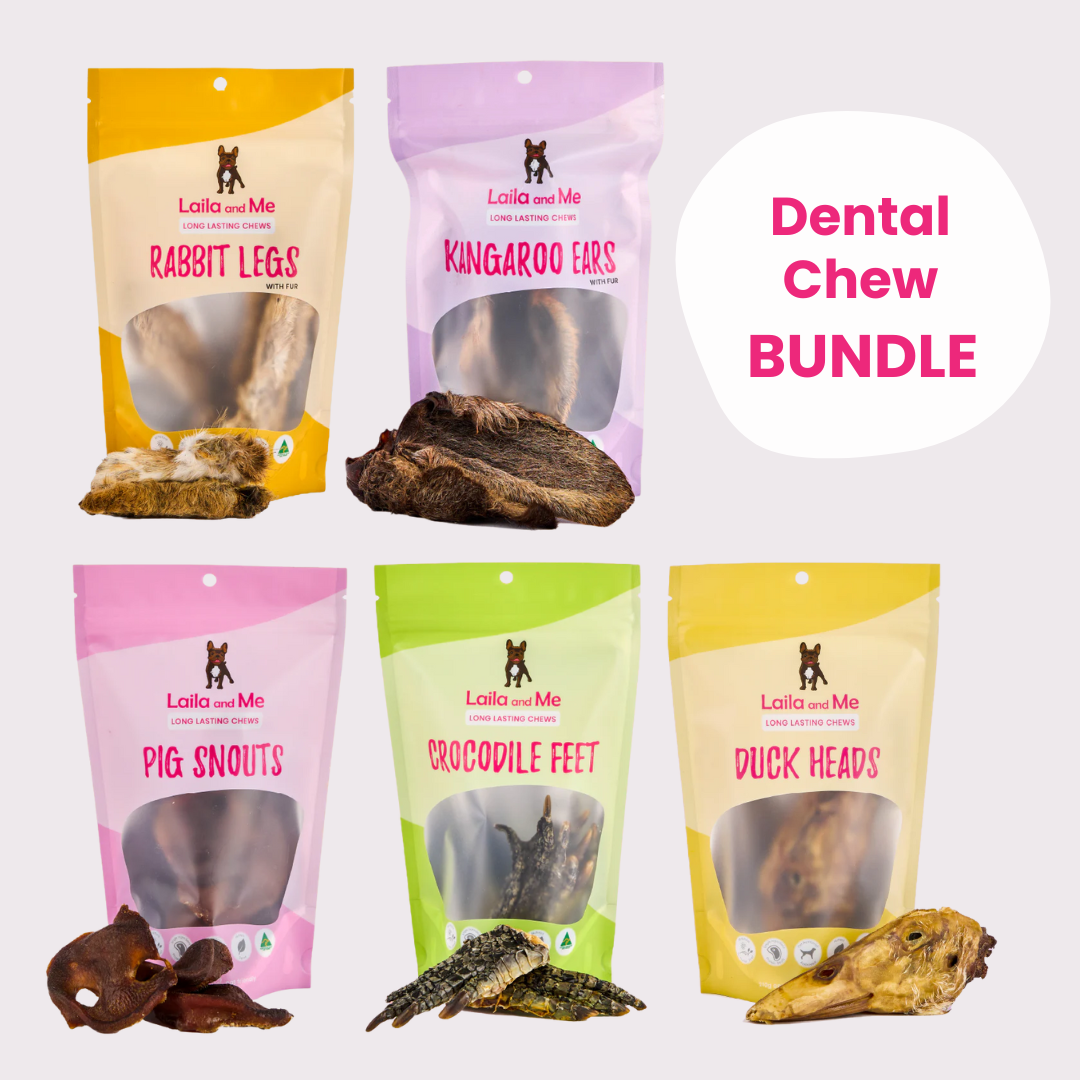 Dental Chew Bundle