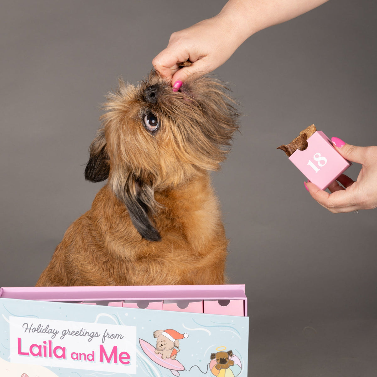 2025 Dog Advent Calendar