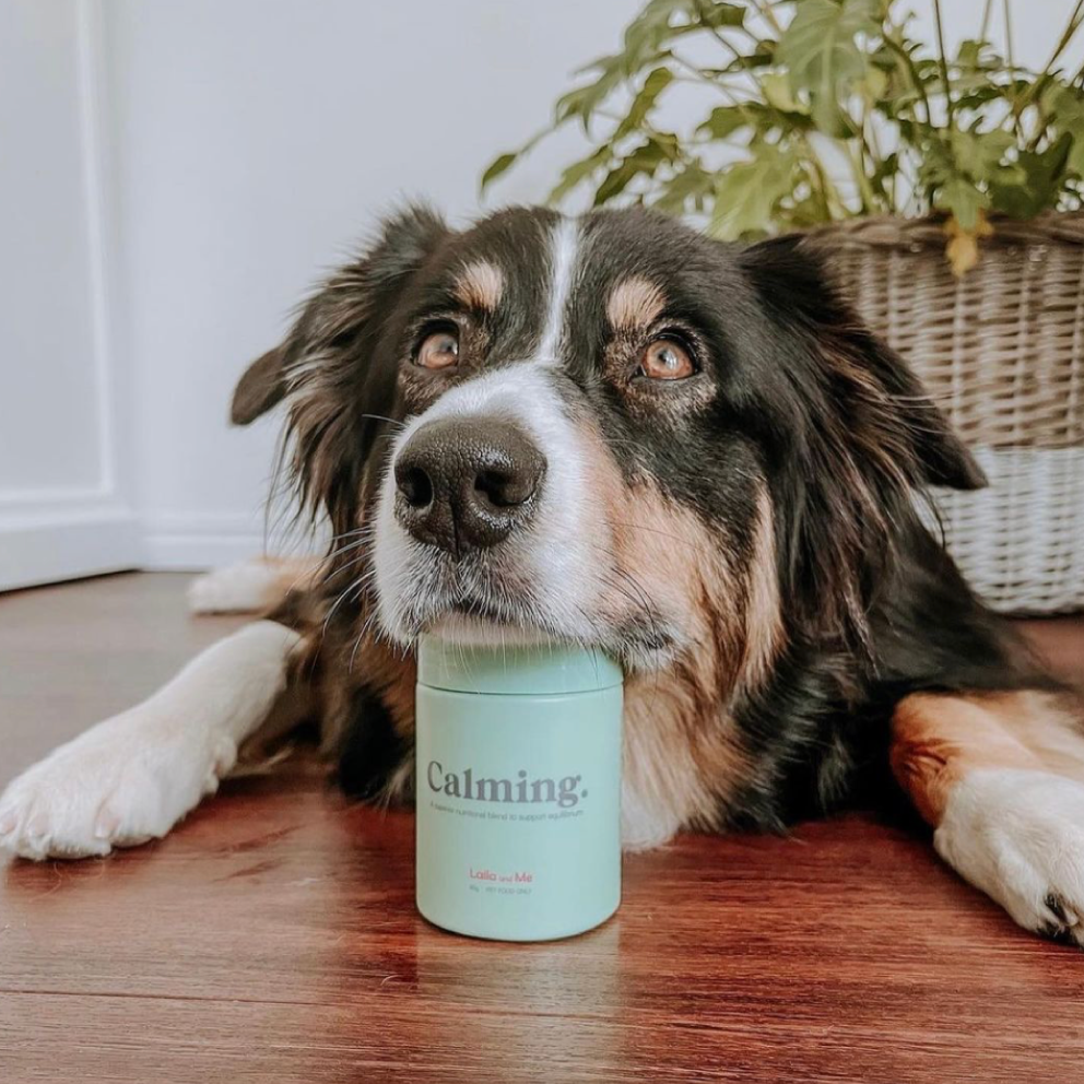 Supplement Bundle For Dogs Under 7