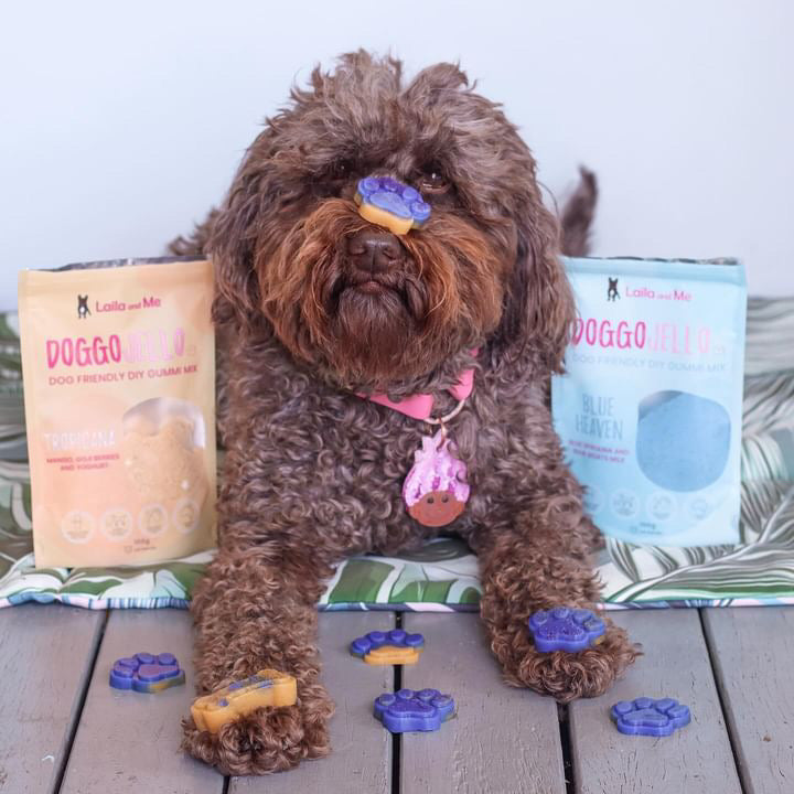 Doggo_Jello_DIY_Gummi_Dog_Treats_by_Laila_and_Me._DIY_Make_your_Own_healthy_dog_gummy_treats