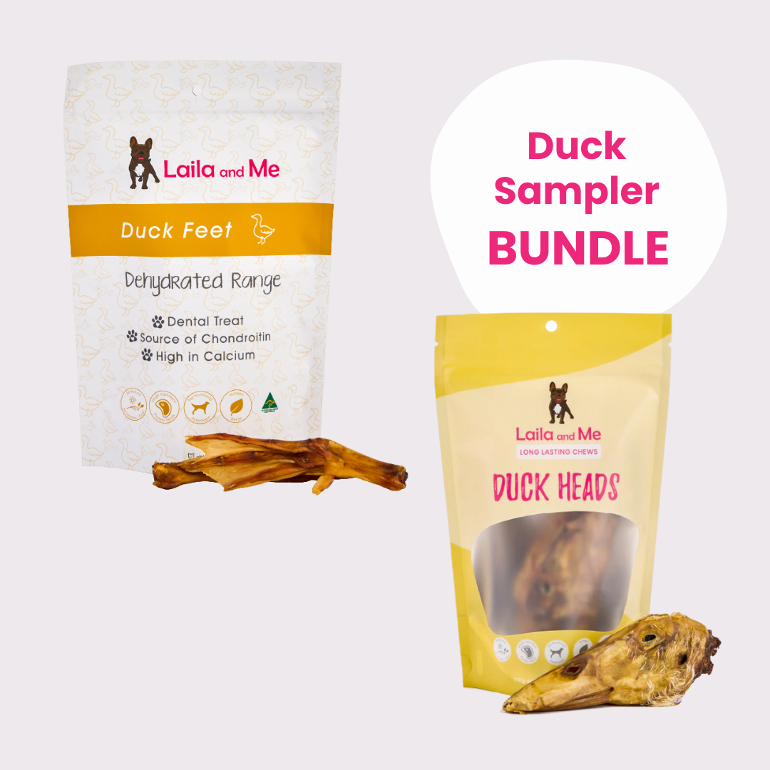 Duck Sampler Bundle