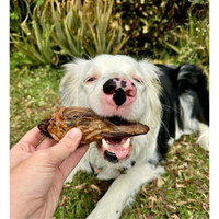 Duck Treat
