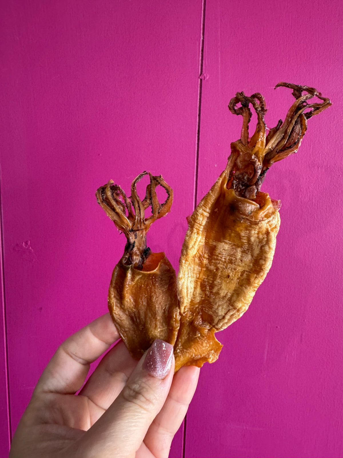 Limited Edition Arrow Squid