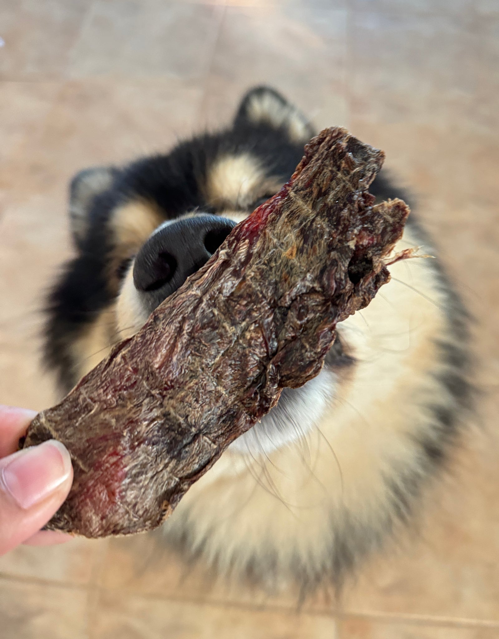 Kangaroo Jerky