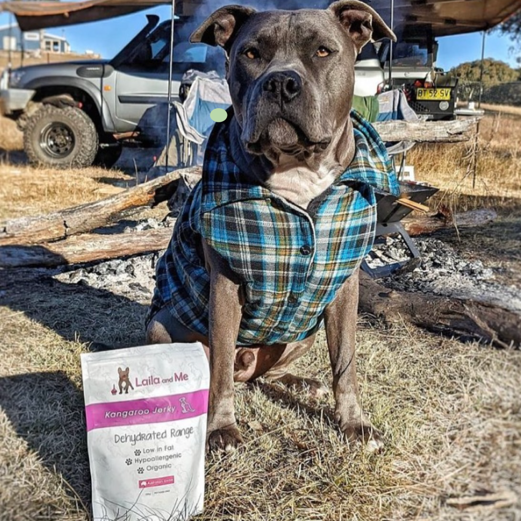 Hypoallergenic Kangaroo Dog Treats by Laila and Me. Healthy Affordable Hypoallergenic Kangaroo Dog Treats