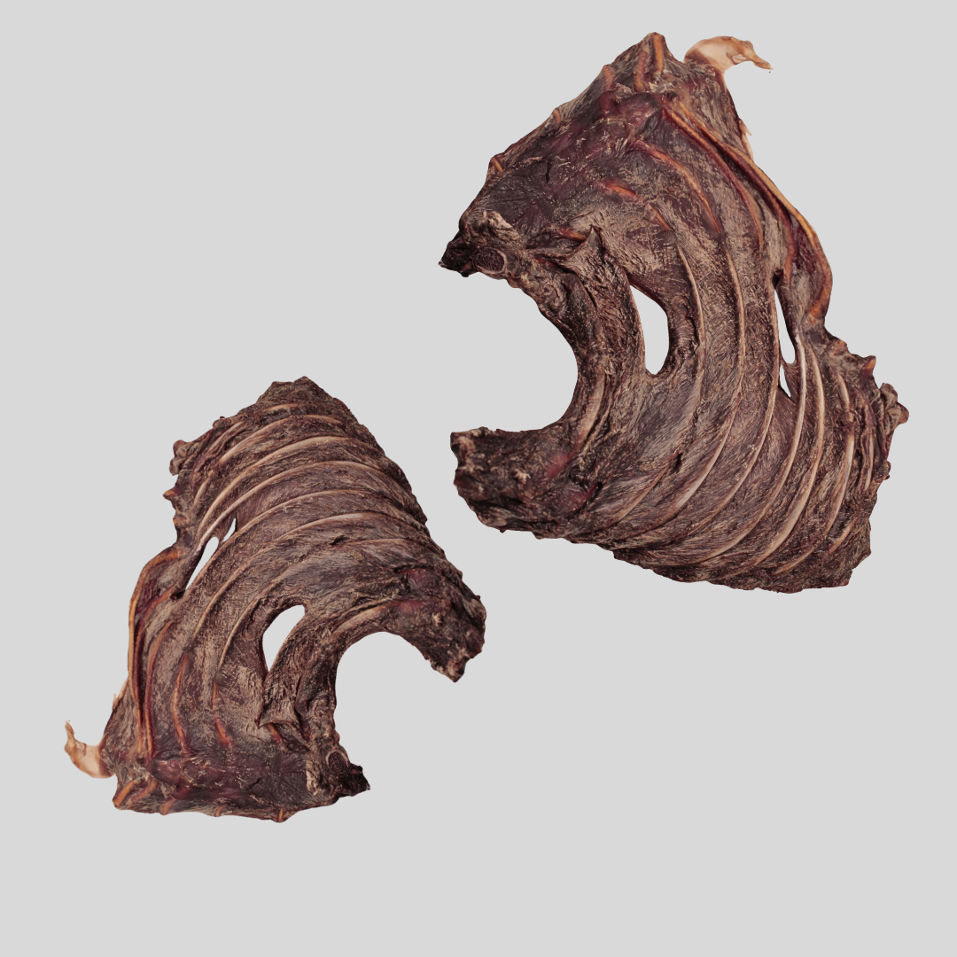 Kangaroo Ribs - Limited Edition