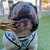 Laila and Me Chicken Feet Dog Treat Dehydrated Dog Treats for Dogs Made in Melbourne