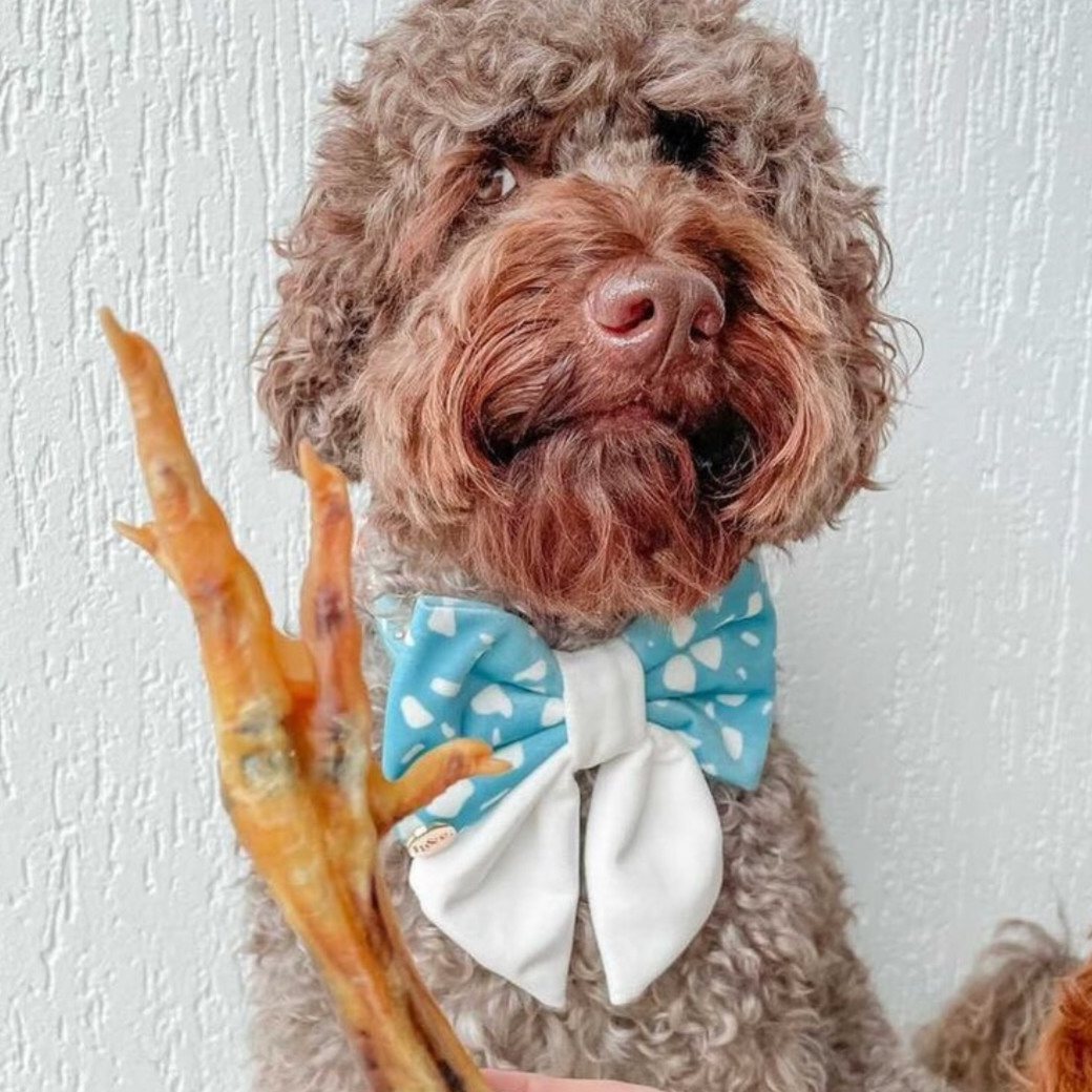 Laila and Me Chicken Feet Dog Treat Dehydrated Dog Treats for Dogs Made in Melbourne