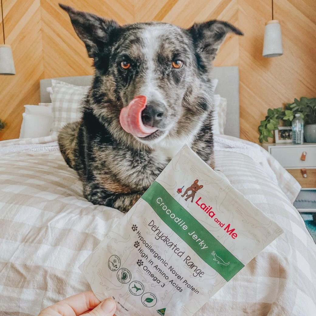 Natural Australian Crocodile Jerky by Laila and Me. Hypoallergenic Dog Treats