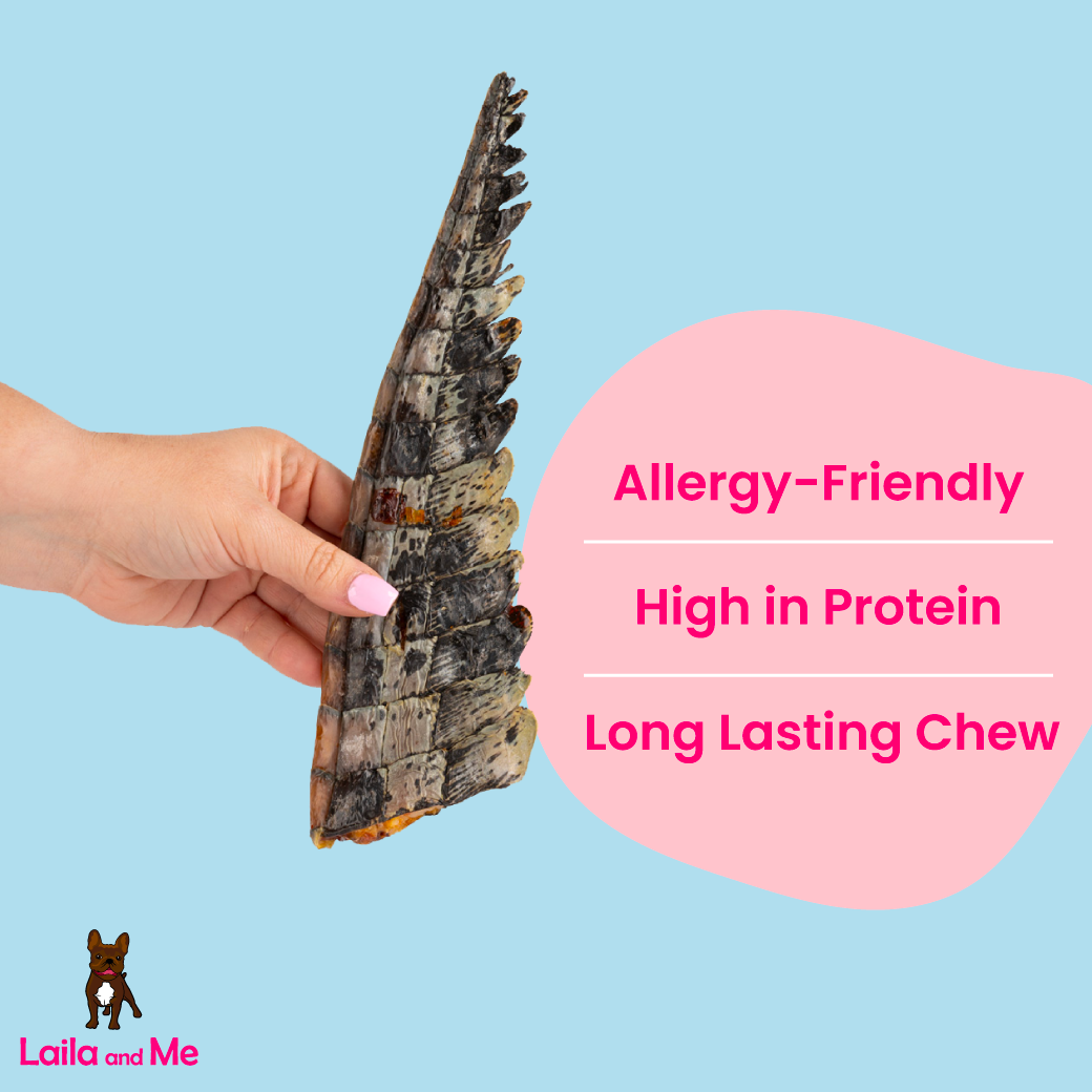 Crocodile Dog Treat Laila and Me Crocodile Tail for Dogs