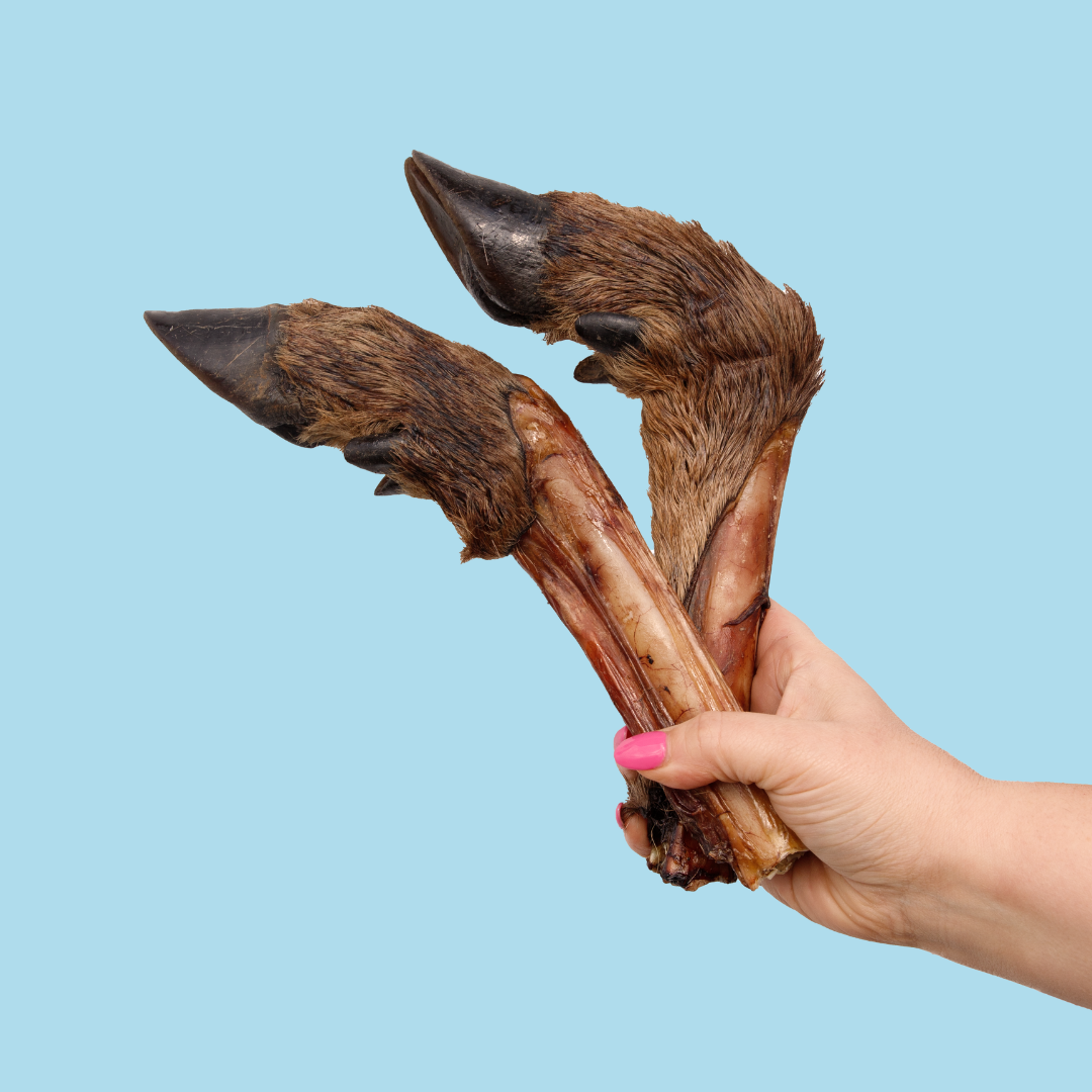 Venison Legs with Fur (2 Pack)