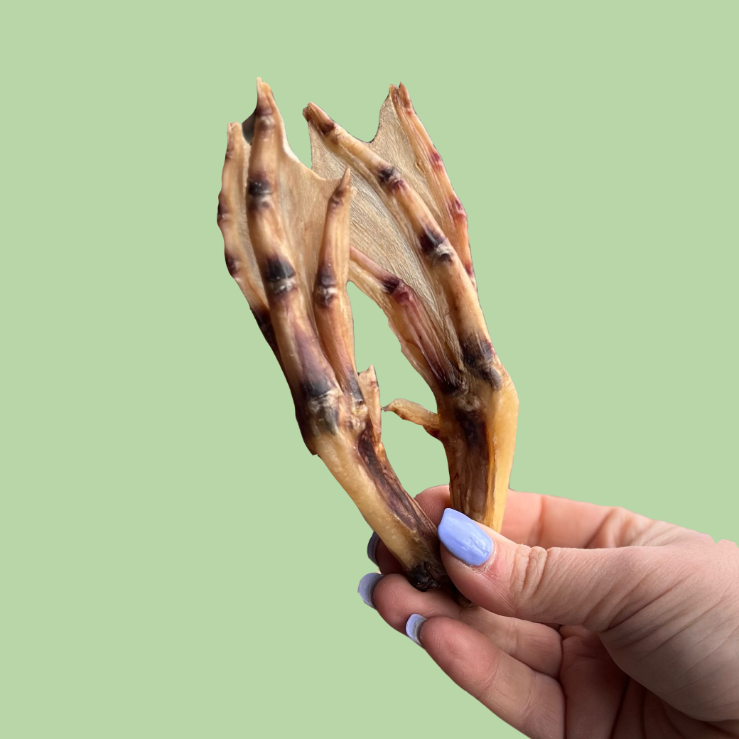 100 Naturally Dehydrated Duck Feet for Dogs Laila and Me