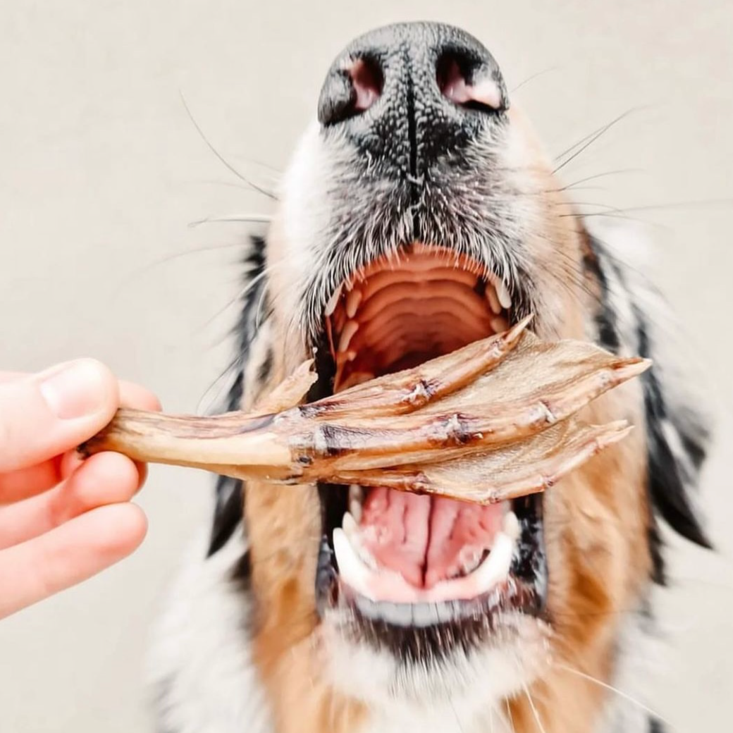 Duck Feet Dog Treat by Laila and me Bulk Dehydrated Healthy Duck Treats for Dogs
