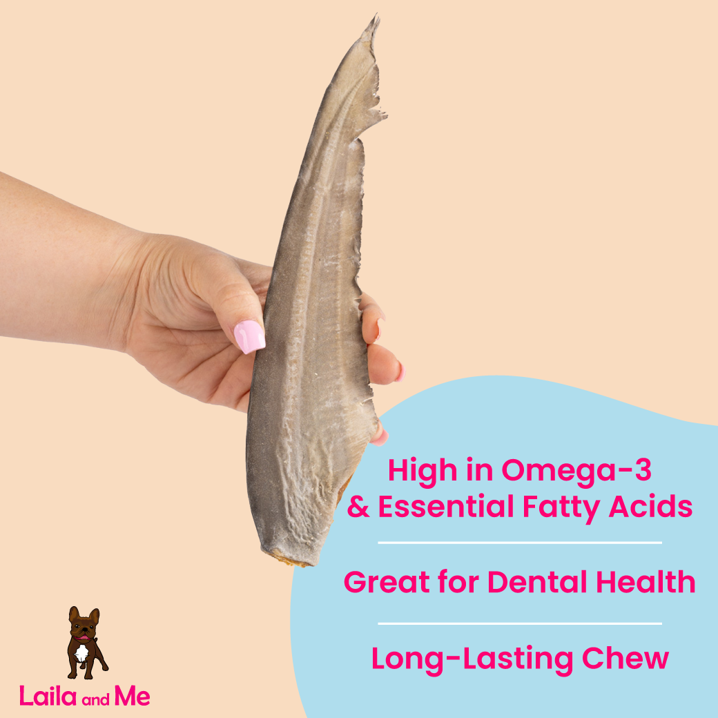 Gummy Shark Tail (2 Pack)