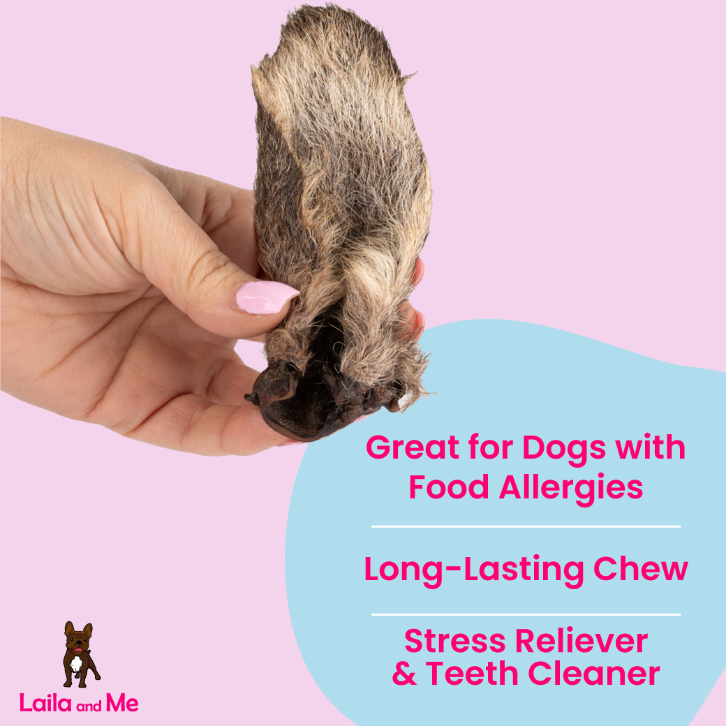 Natural Kangaroo Ear with Fur for Pets Locally Sourced Laila and Me