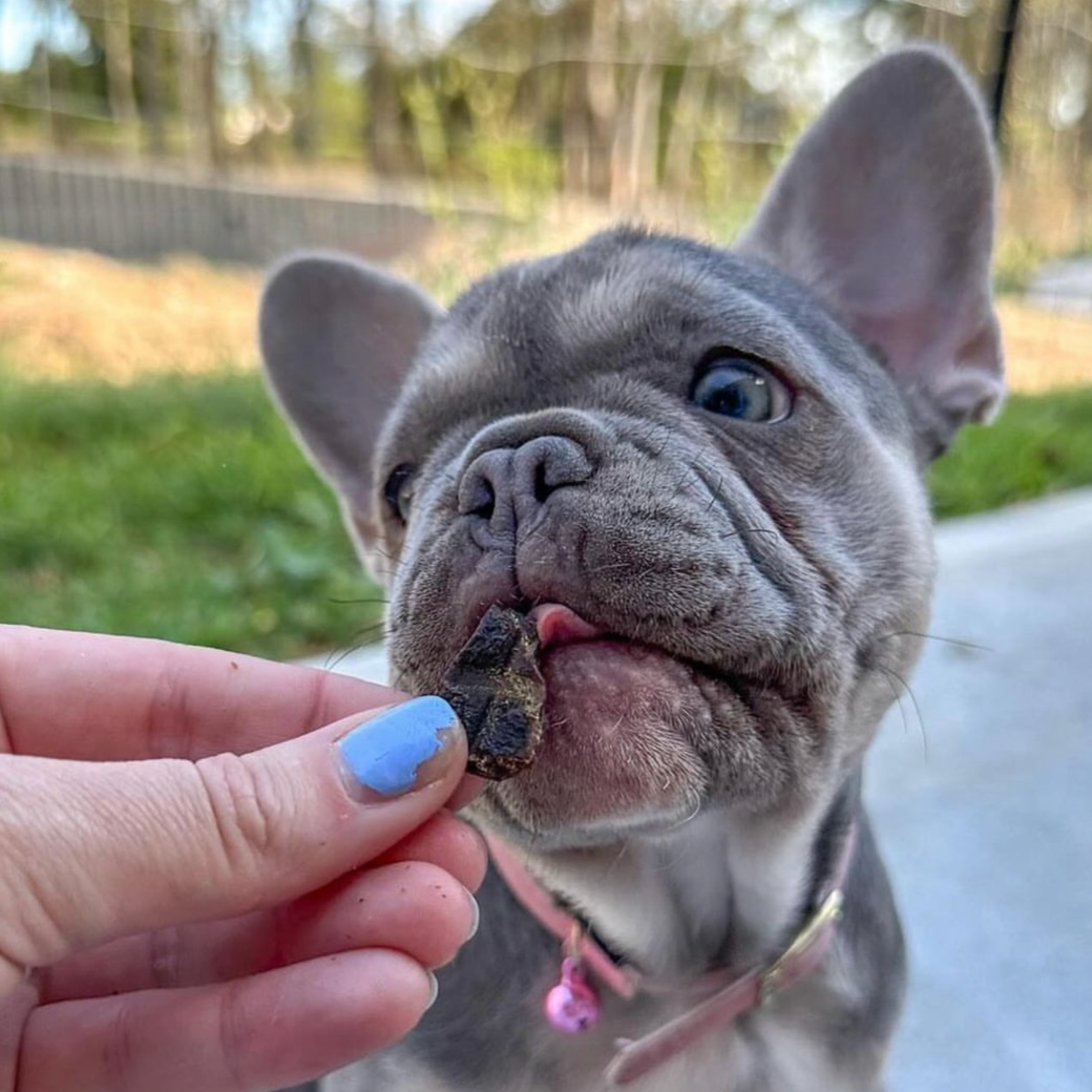Laila and Me Lamb Liver Healthy Dog Treats Australian Made single Ingredient Dog Treats