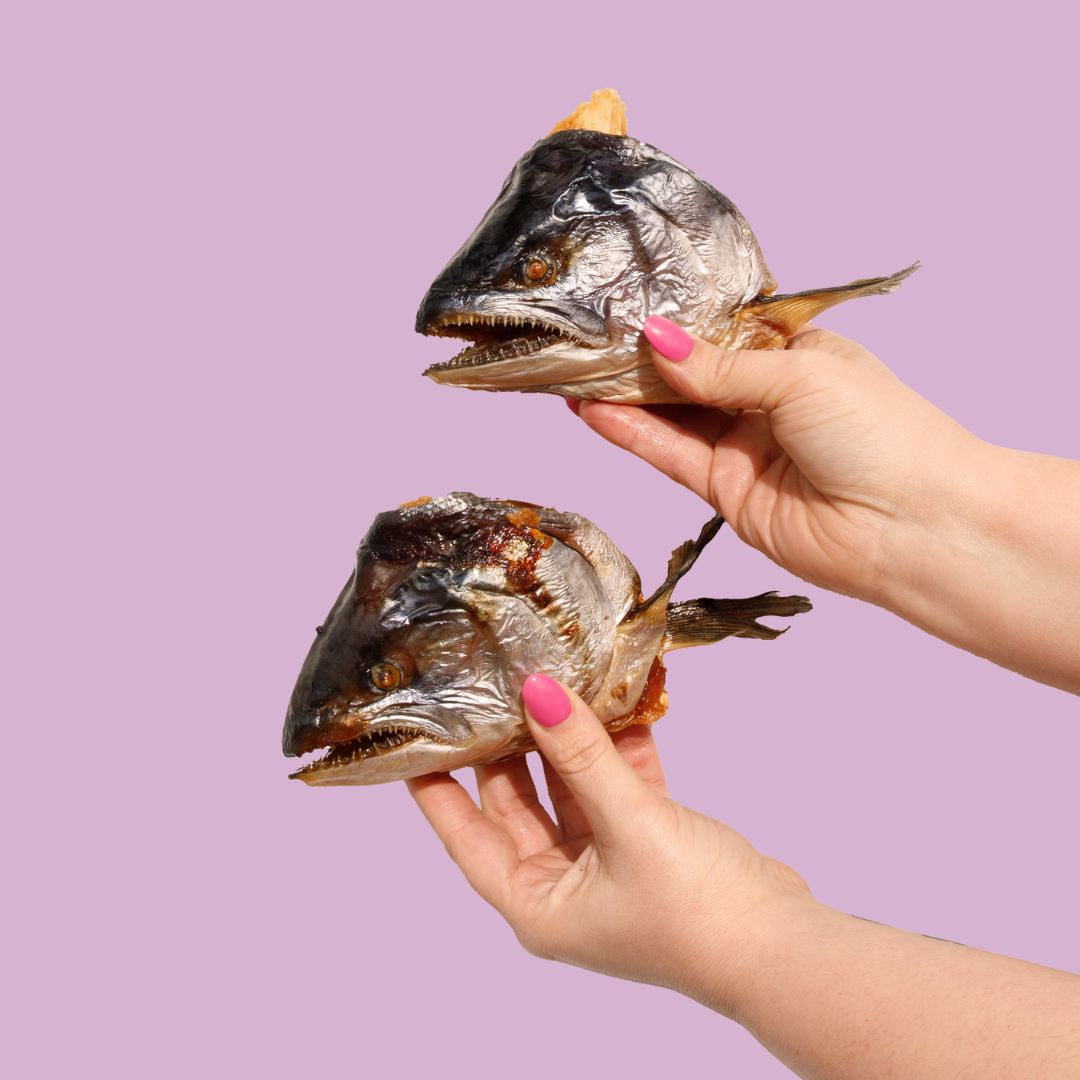 Salmon Heads pack) Dehydrated Australian Salmon Heads for Dogs
