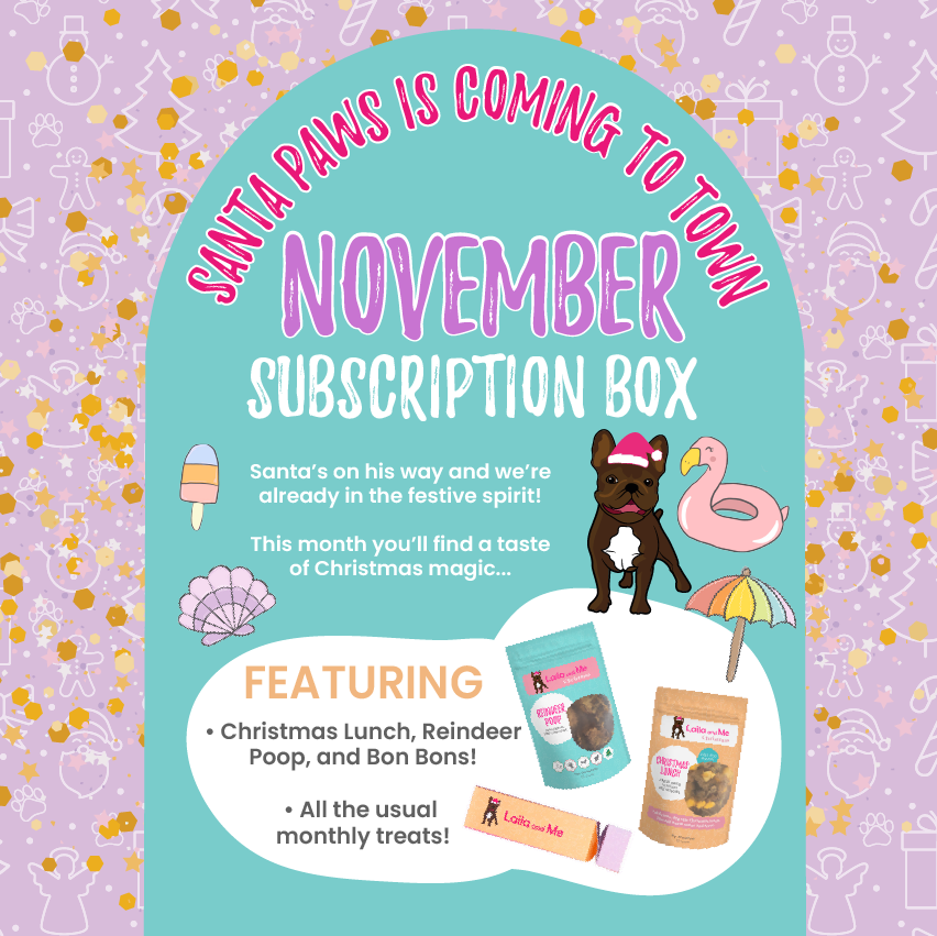 Ultimutt Dog Box | Monthly Subscription Box