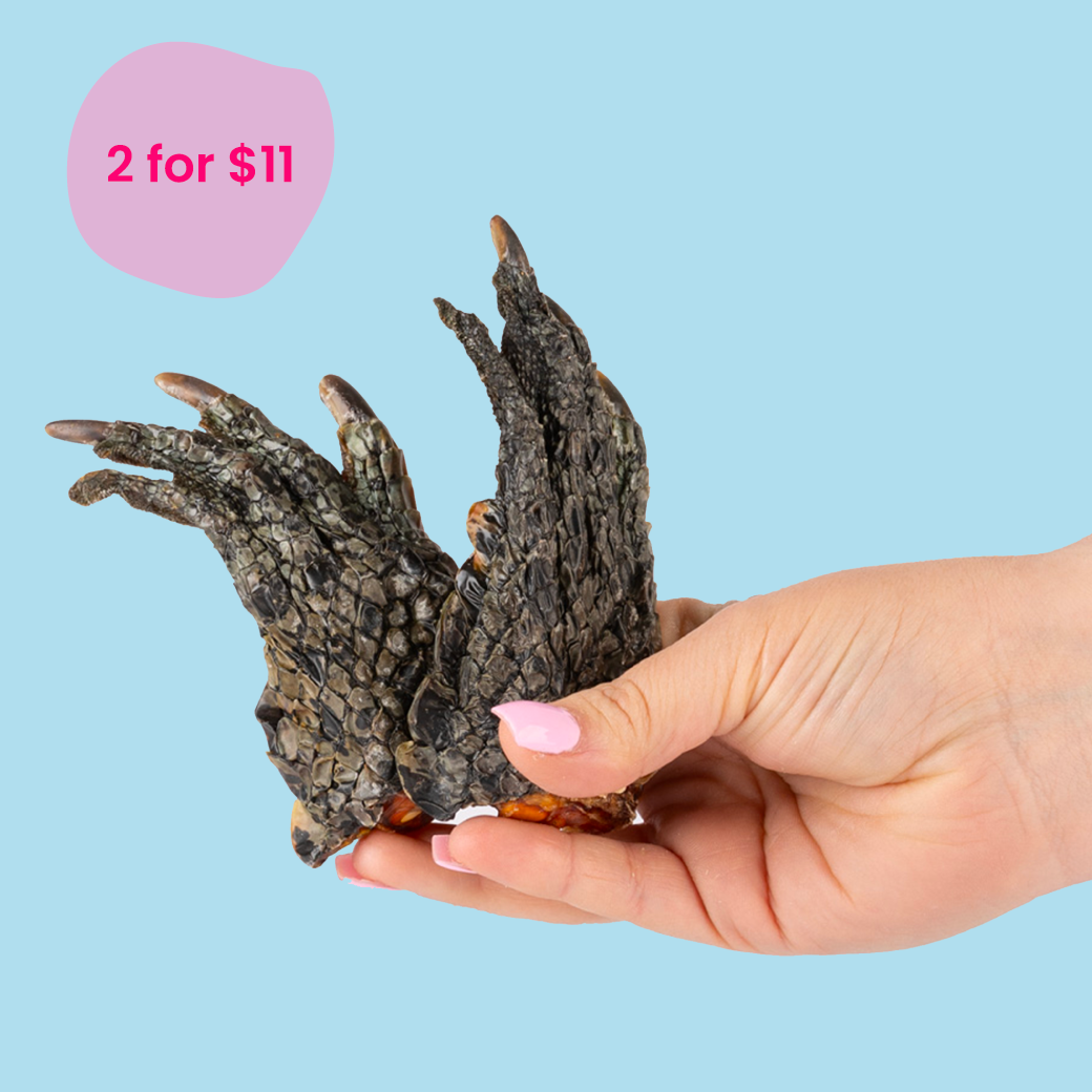 Crocodile dog treats 2025