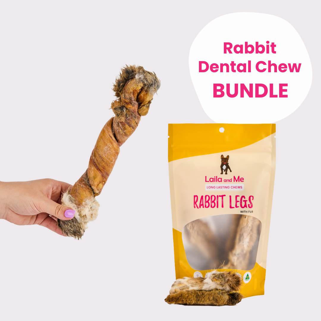 Rabbit Dental Chew Bundle