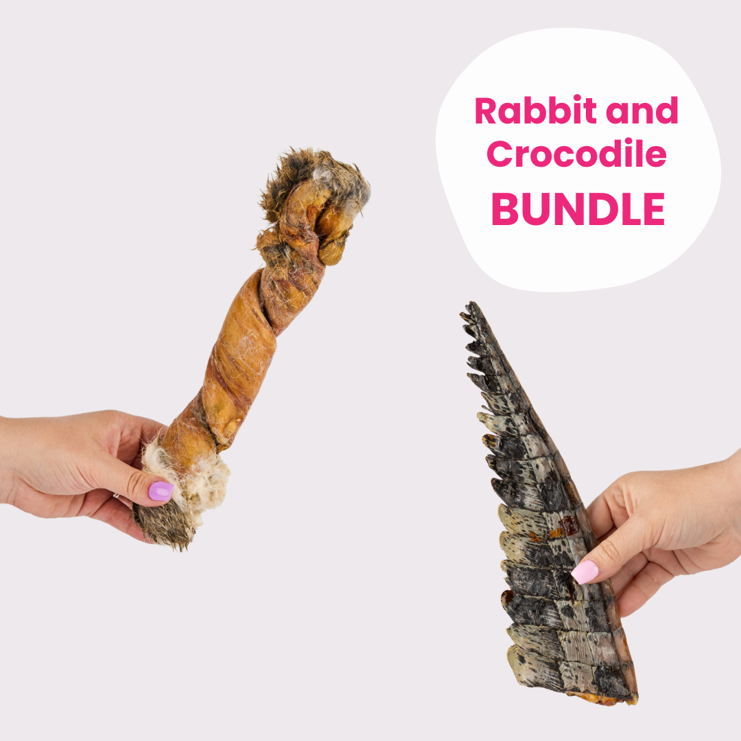 Rabbit and Crocodile Bundle