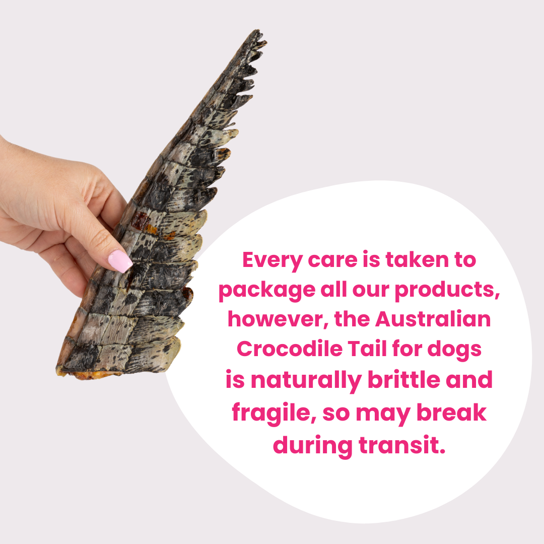 Crocodile Tails
