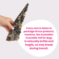 Crocodile Tails