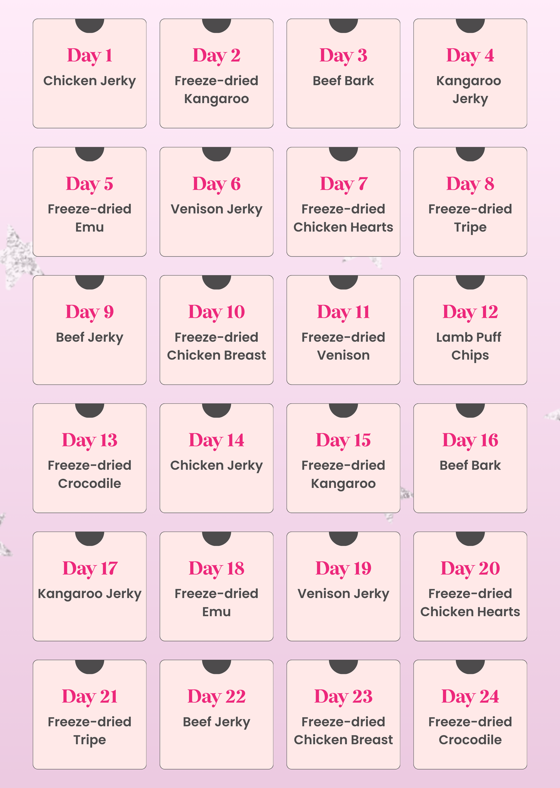 Day 1 - Day 24 Advent Calendar Dog Treats - Laila and Me