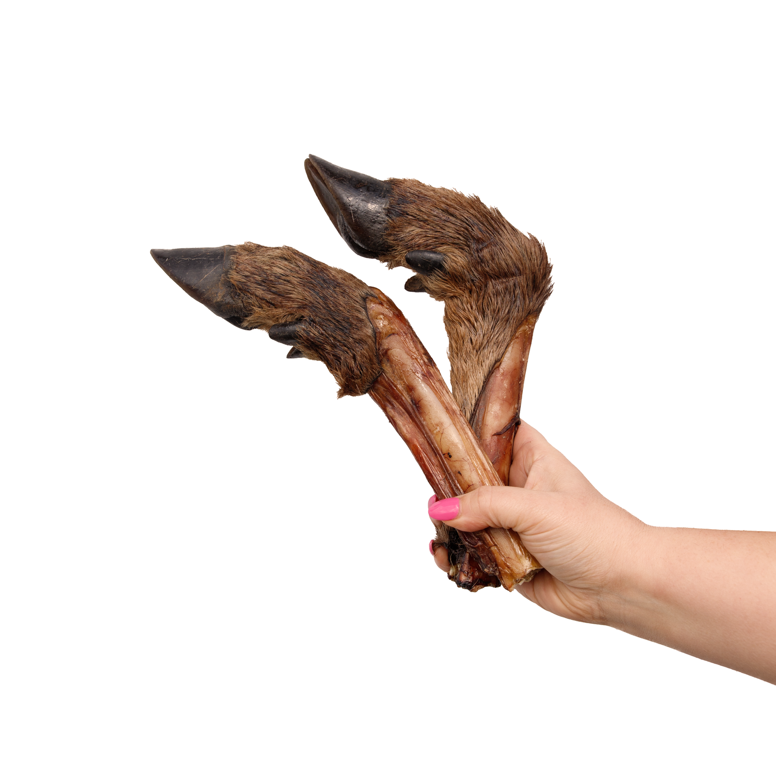 Venison Legs with Fur (2 Pack)