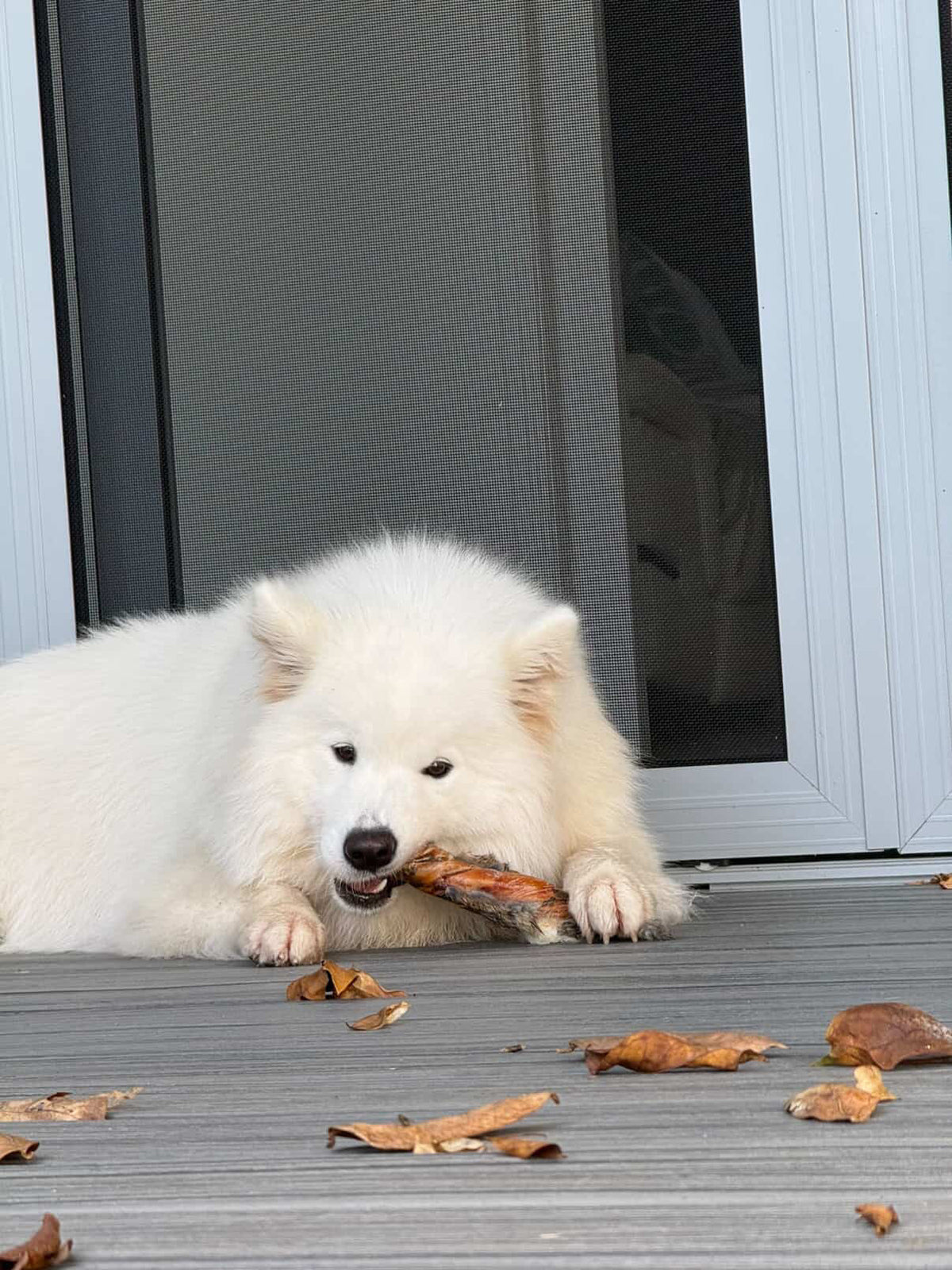 Laila and Me Wild Rabbit Fur Twist