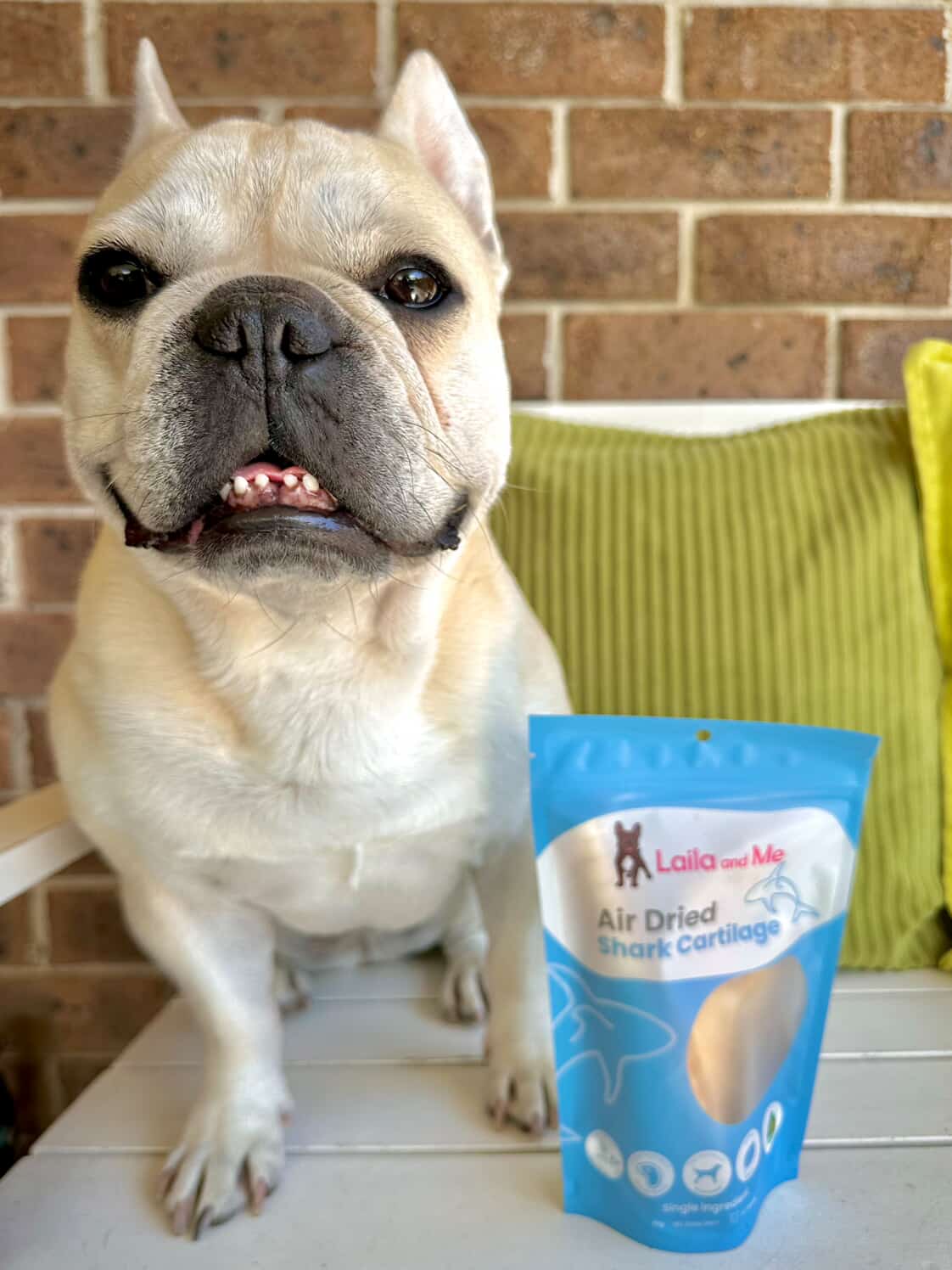 Australian Gummy Shark Cartilage